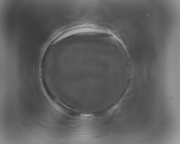 X0000068890055200605192145