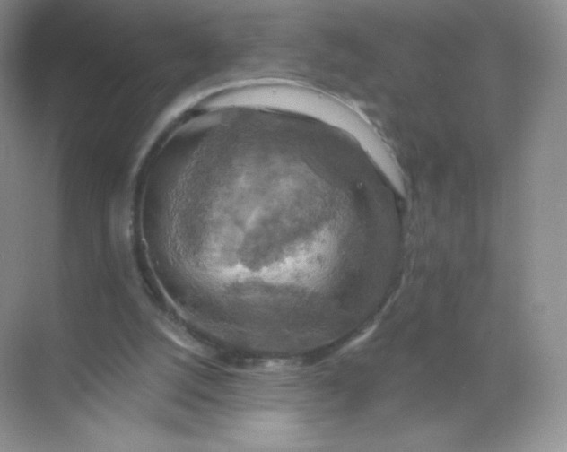 X0000068890056200605192145