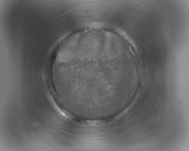 X0000068890057200605192145