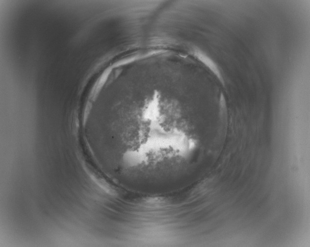 X0000068890059200605192145