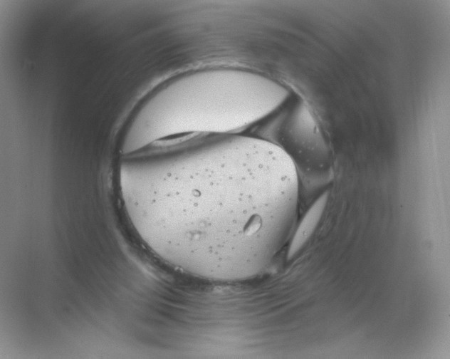 X0000068890060200605192145