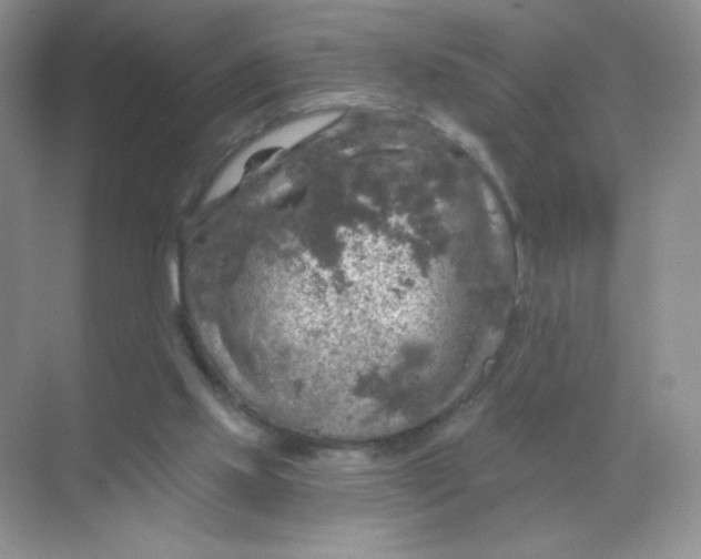 X0000068890061200605192145