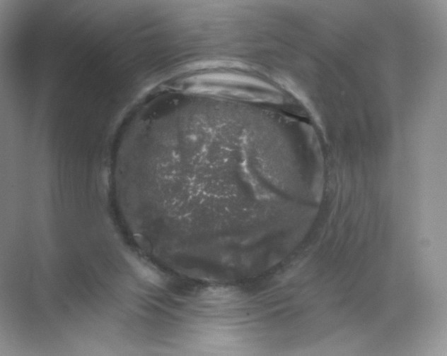 X0000068890063200605192146