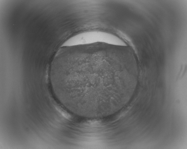 X0000068890065200605192146