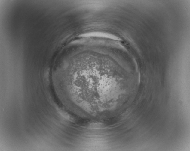 X0000068890066200605192146