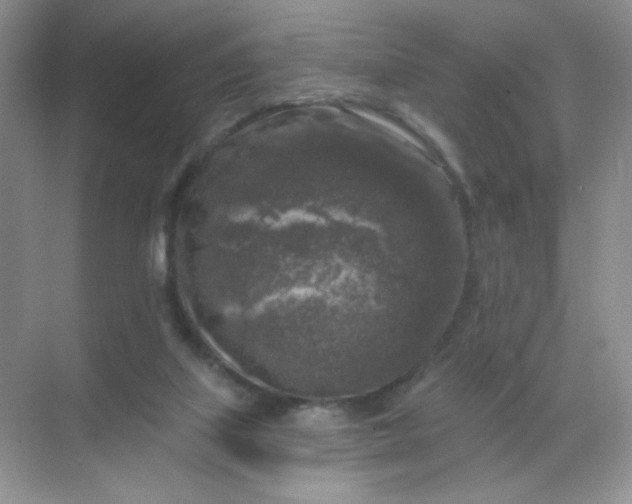 X0000068890067200605192146