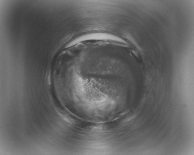 X0000068890068200605192146