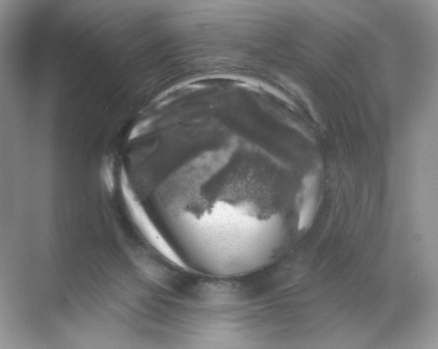 X0000068890069200605192146