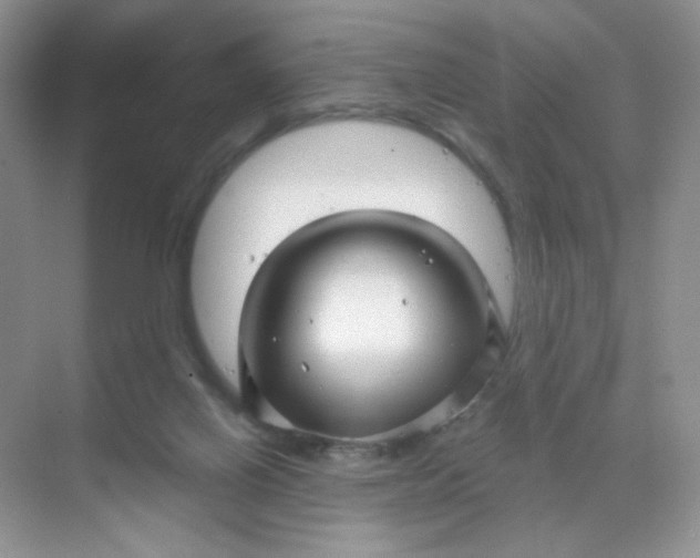 X0000068890070200605192146