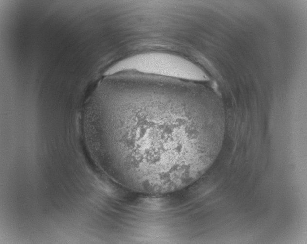 X0000068890071200605192146