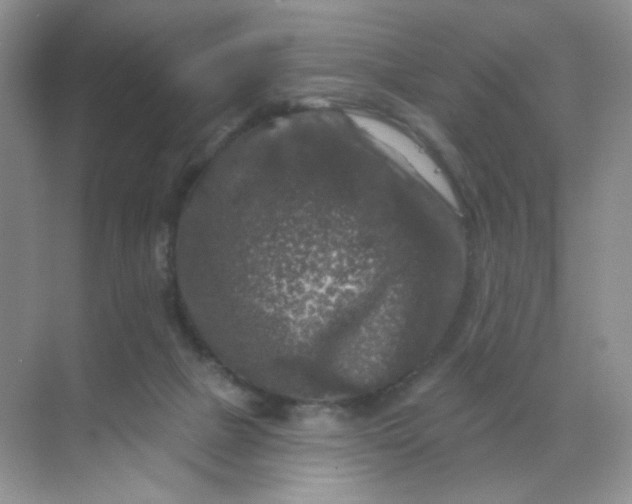 X0000068890073200605192146