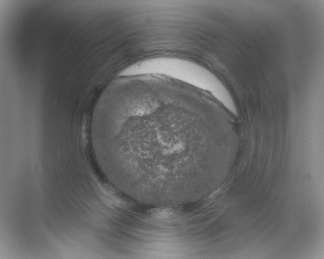 X0000068890074200605192146