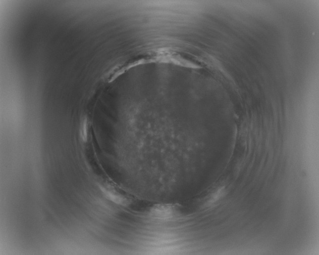 X0000068890076200605192146