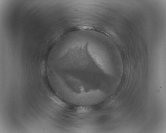 X0000068890077200605192146