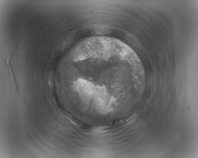 X0000068890078200605192146