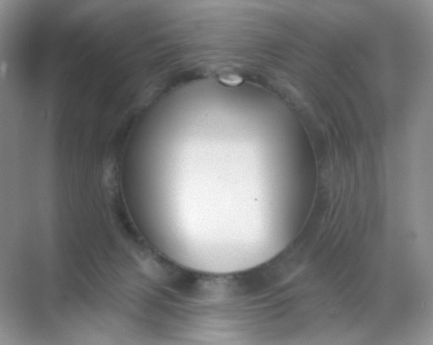 X0000068890079200605192146