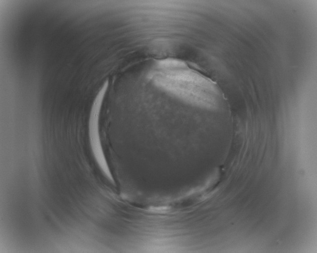 X0000068890080200605192146