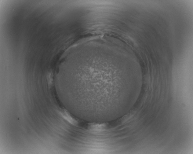 X0000068890081200605192146