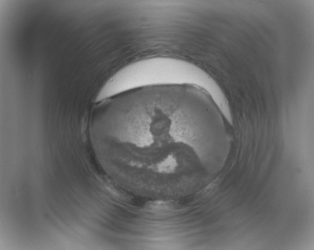 X0000068890082200605192146