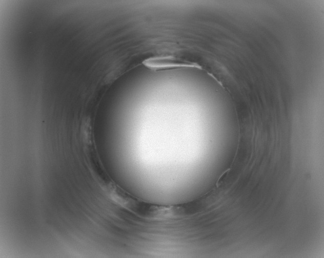 X0000068890083200605192146