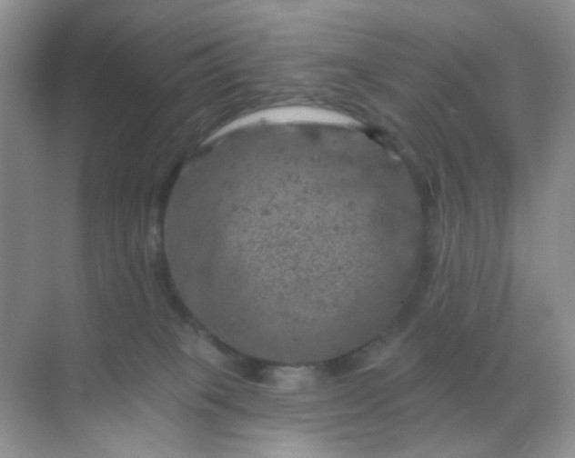 X0000068890085200605192146