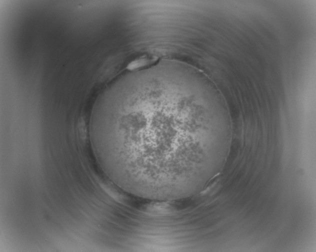 X0000068890086200605192146