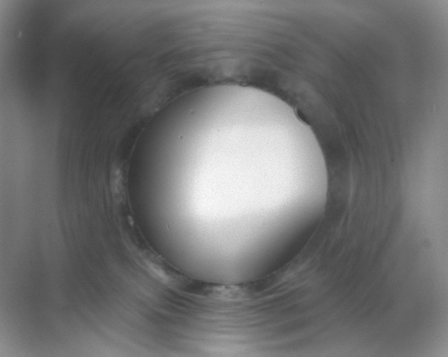 X0000068890087200605192146