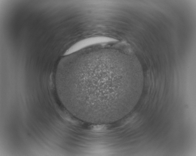 X0000068890088200605192146