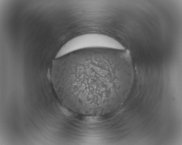 X0000068890089200605192146