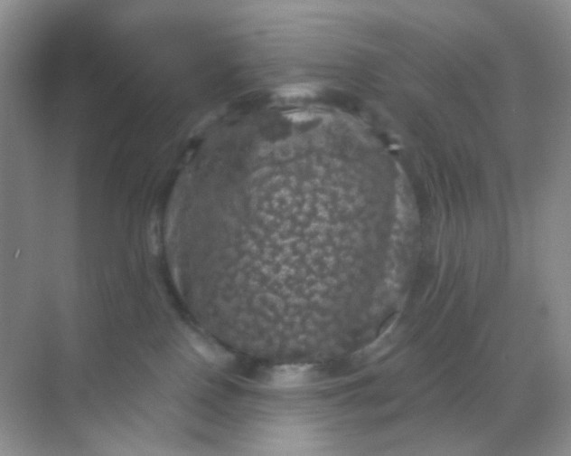 X0000068890090200605192146