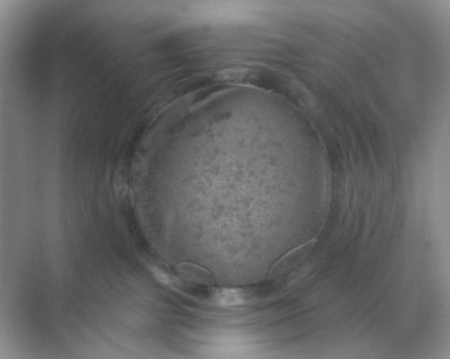 X0000068890091200605192146