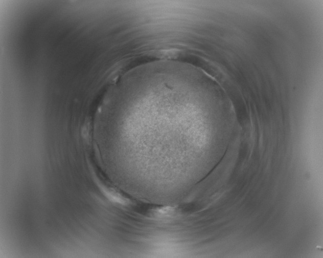 X0000068890092200605192146