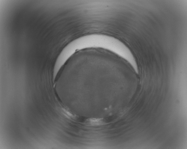 X0000068890093200605192146