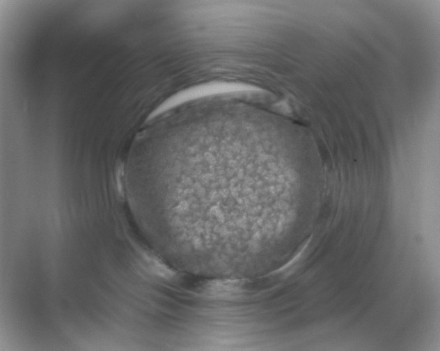 X0000068890094200605192146