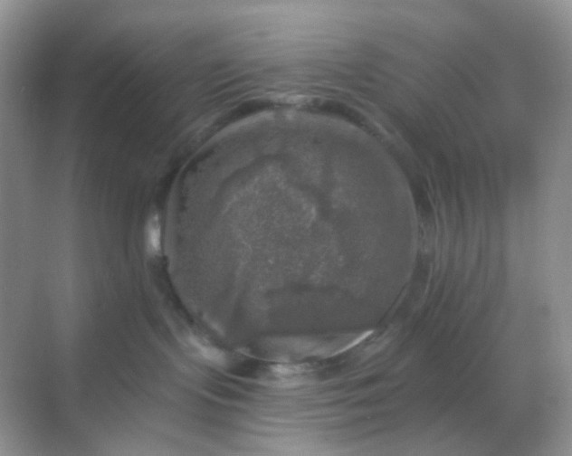 X0000068890095200605192146