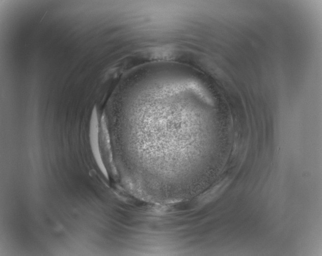 X0000068890096200605192146