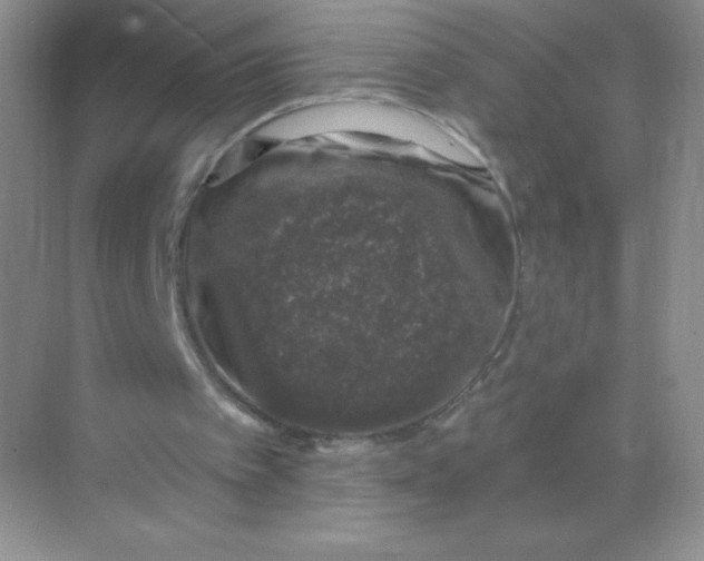 X0000068890097200605192145