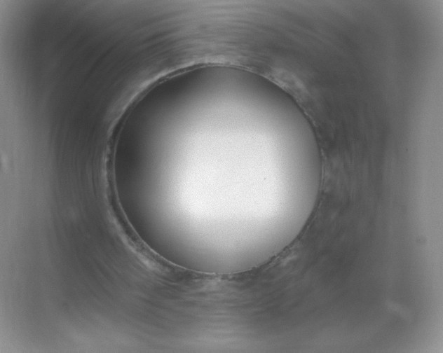 X0000068890098200605192145