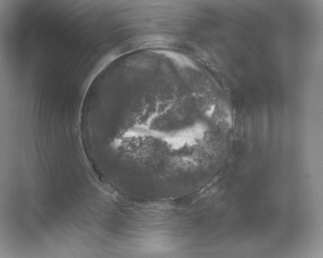 X0000068890099200605192145