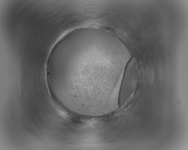 X0000068890100200605192145