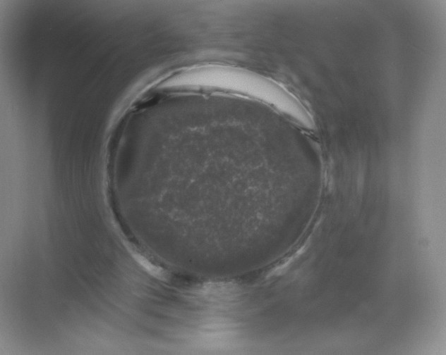 X0000068890101200605192145