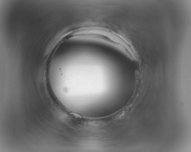 X0000068890103200605192145