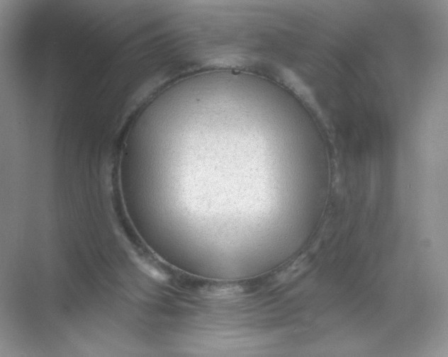 X0000068890106200605192145