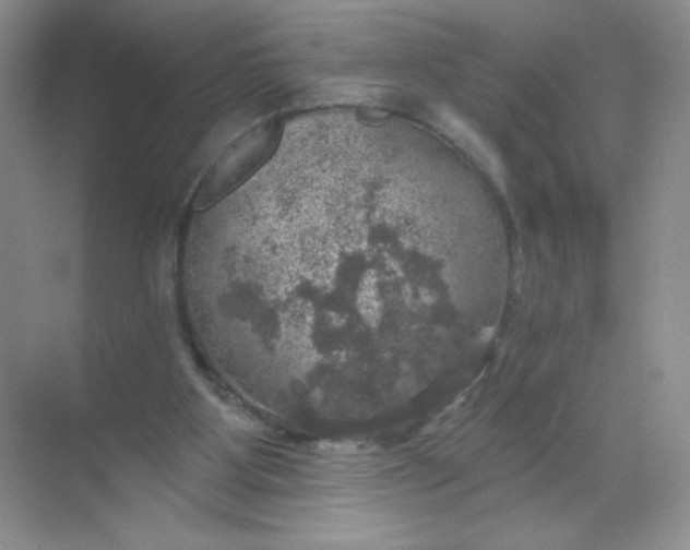 X0000068890107200605192145