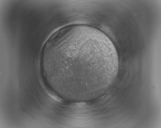 X0000068890108200605192145