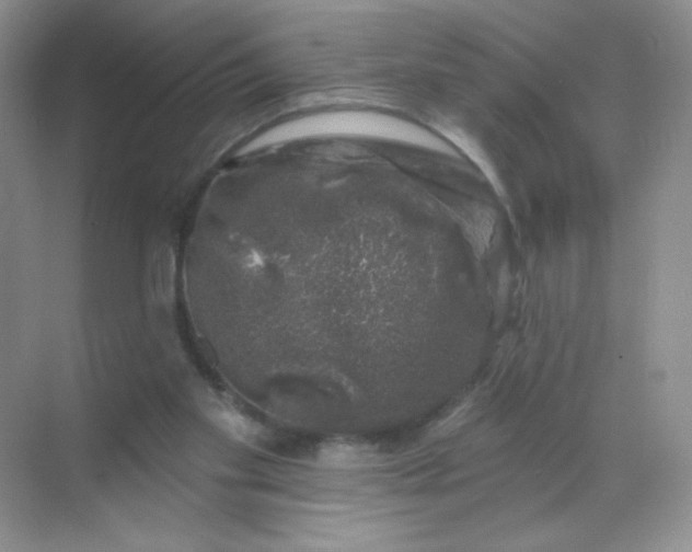 X0000068890109200605192145