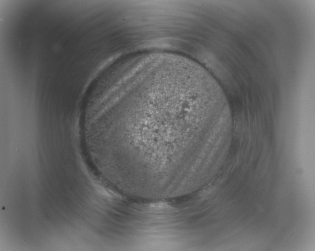 X0000068890112200605192145