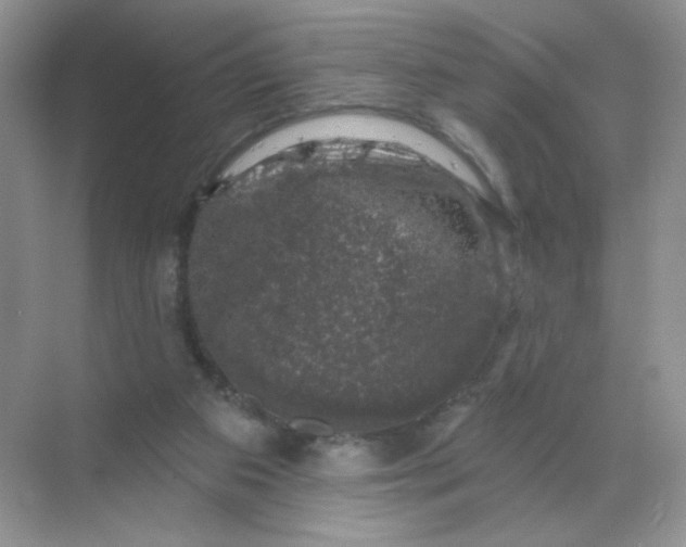 X0000068890113200605192145