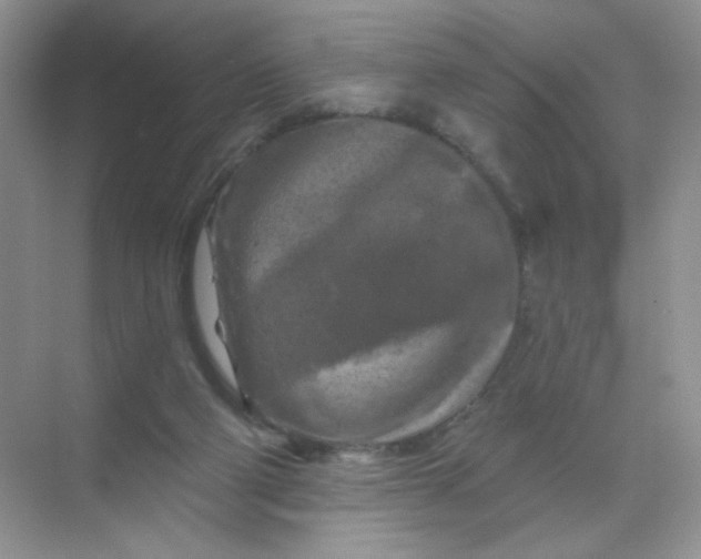 X0000068890114200605192145