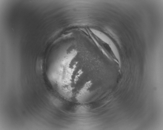 X0000068890115200605192145